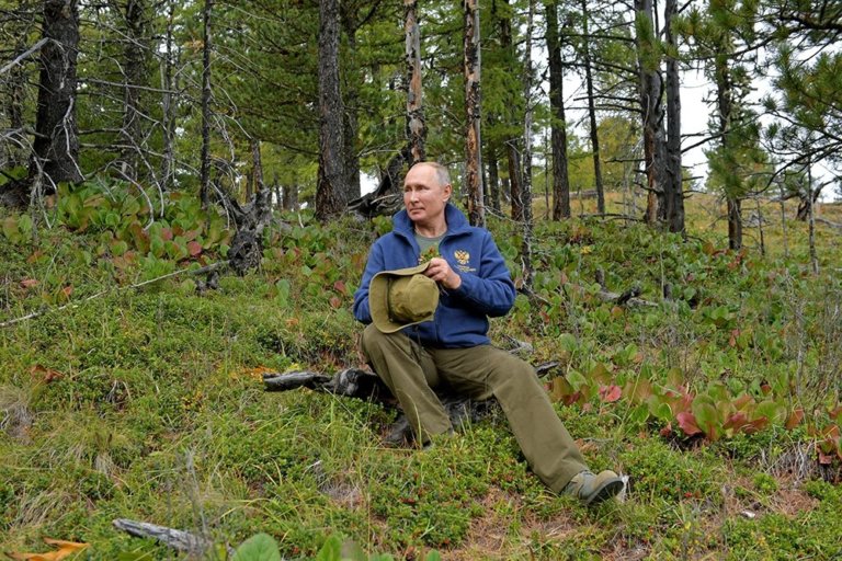 Дмитрий Песков: Президент лично контролирует меры по сохранению животных