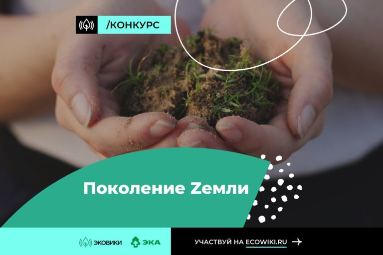 Стать экологичным сможет каждый
