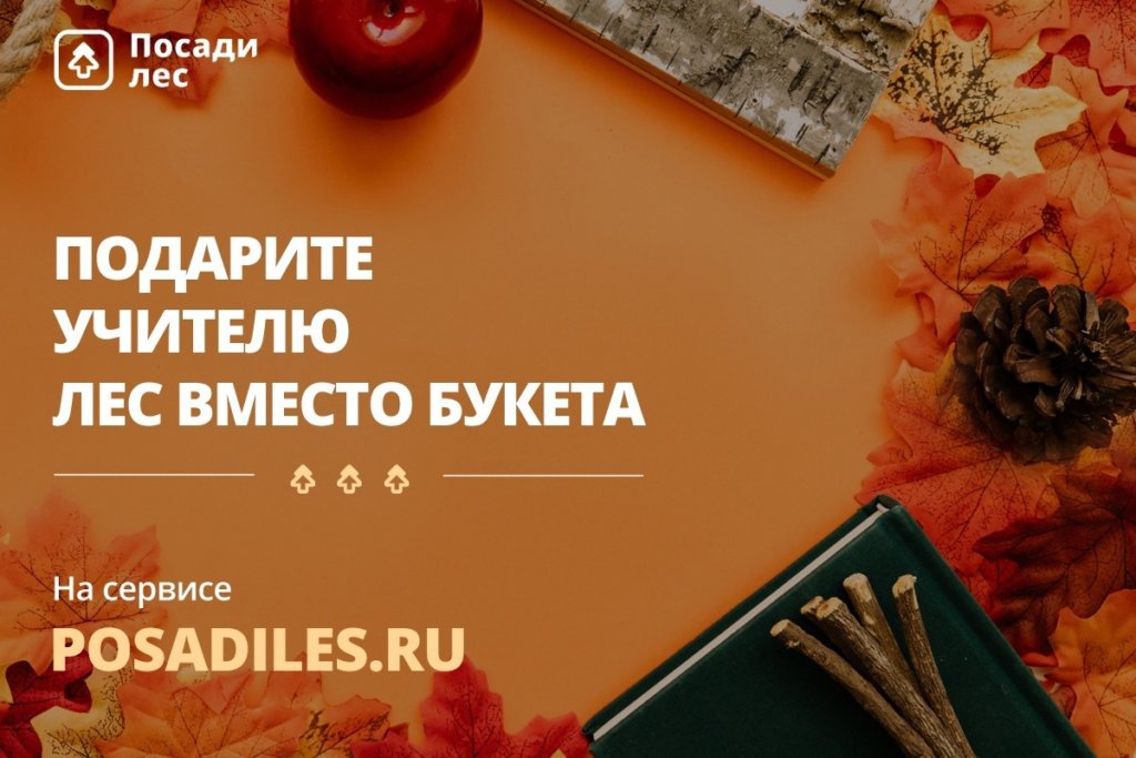 Учителям предлагают дарить деревья вместо цветов