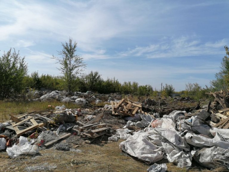 В Самаре обнаружена свалка с трупами животных