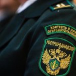 Росприроднадзор проверит самые «горячие точки» в сфере экологии