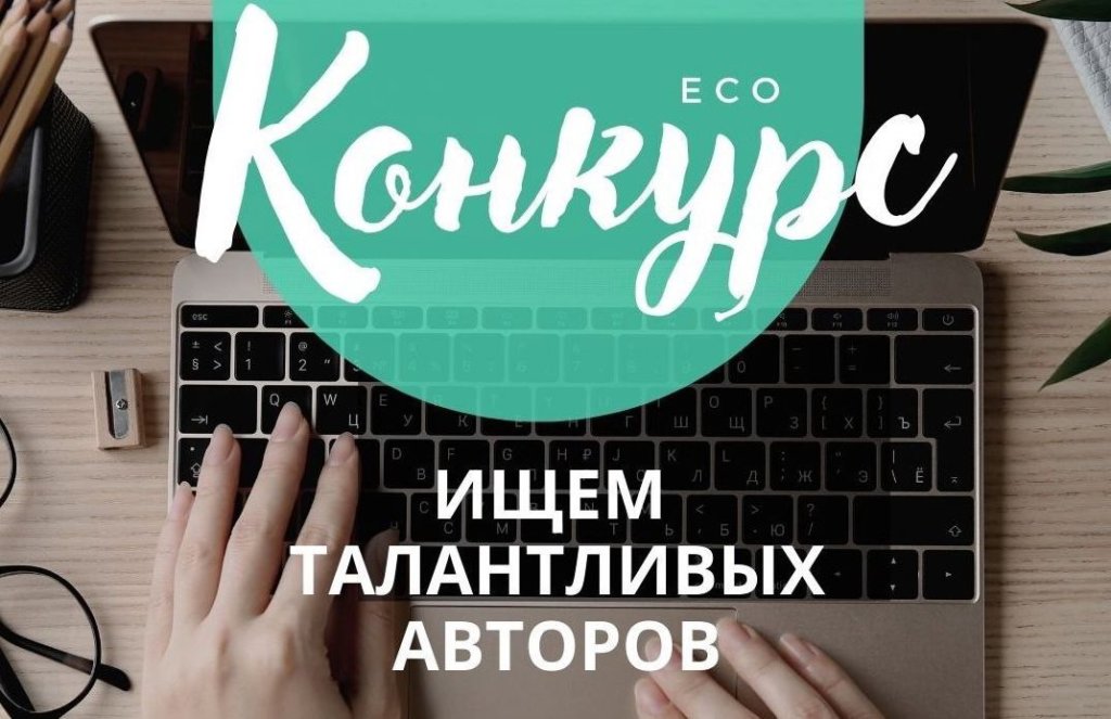Ecowiki.ru дал ответ «чёрной пятнице»