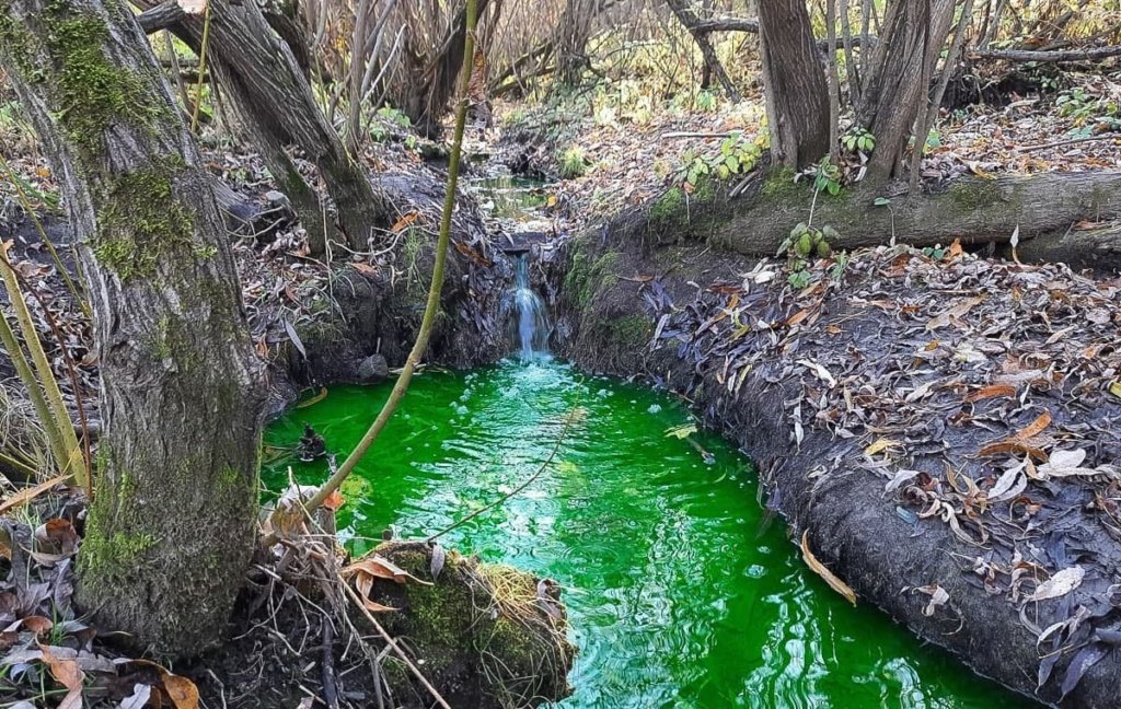 В Перми окрасились реки