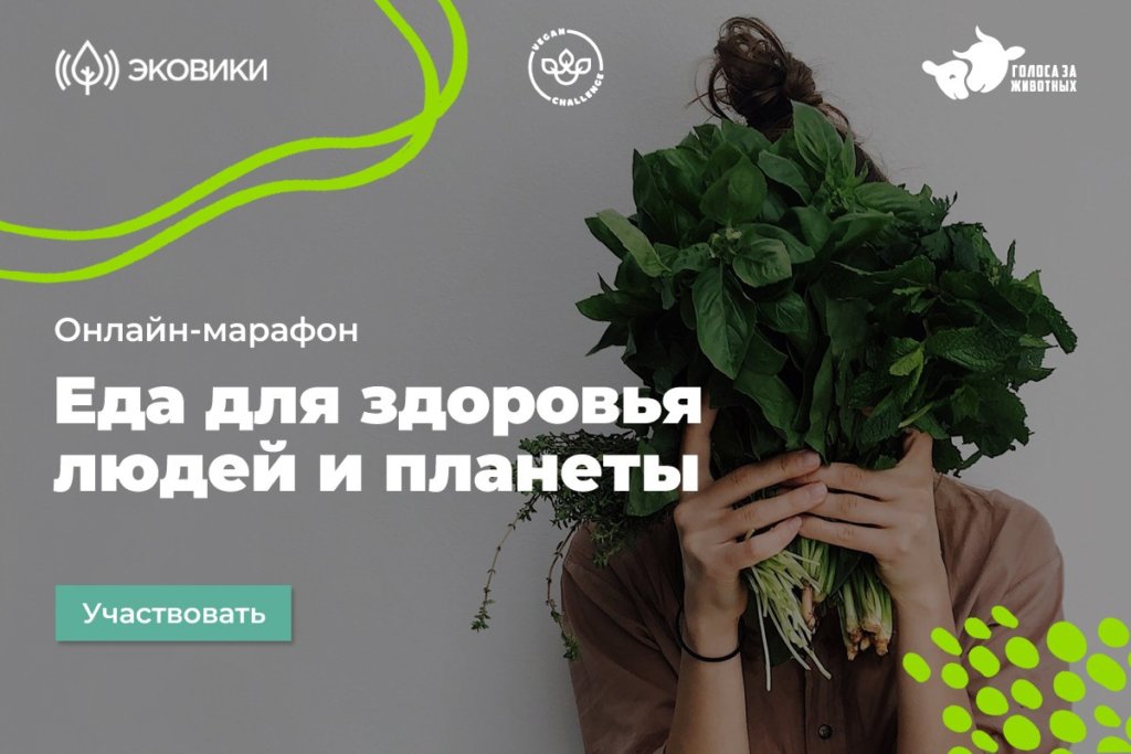 В России проходит марафон «Еда для здоровья людей и планеты»