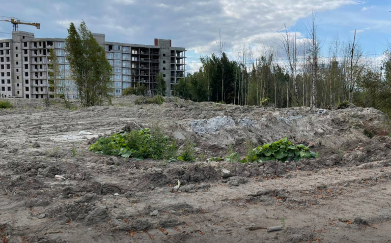 В Ленобласти обнаружена незаконная свалка с опасными отходами