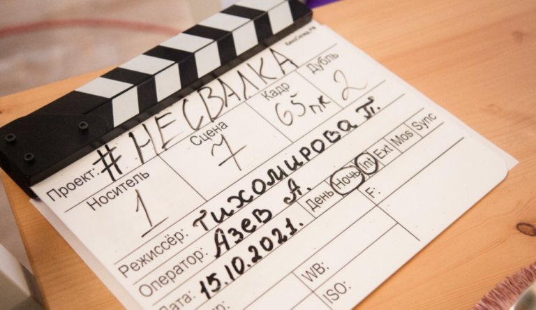 В начале ноября в Интернете выйдет экосериал «#несвалка»
