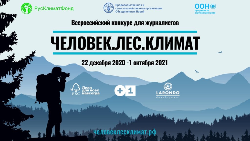 Стали известны итоги Всероссийского конкурса журналистов «Человек.Лес.Климат»