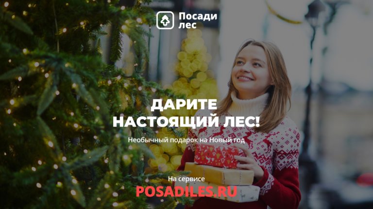 Объявлена предновогодняя акция «Посади Лес»