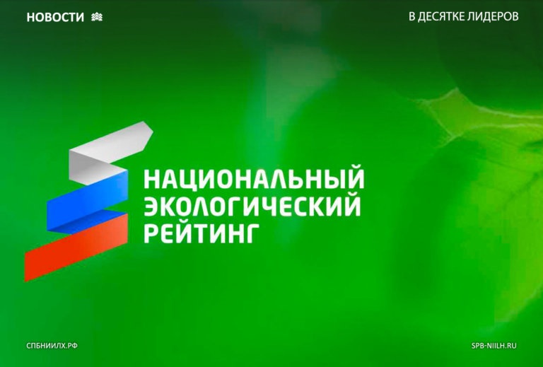 Определились новые лидеры «Национального экологического рейтинга»