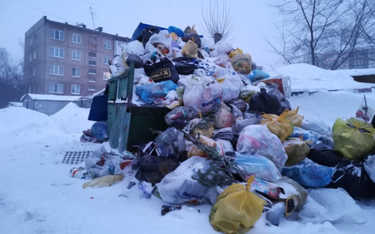 Алтайский край не может закупить мусорные контейнеры