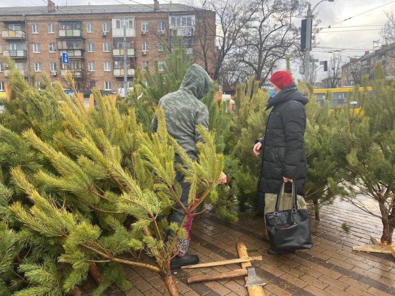 Россияне постепенно отказываются от живых ёлок