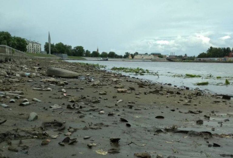 В Пензенской области возбудили уголовное дело из-за массовой гибели рыбы