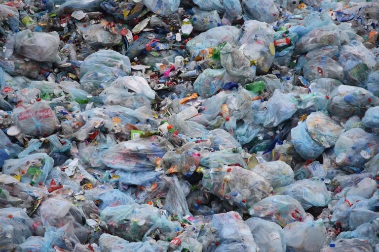 Отказ от одноразовой упаковки поможет стране существенно сэкономить