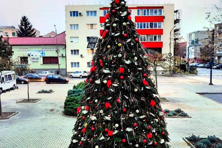 На площади румынского города установили экологичную ёлку