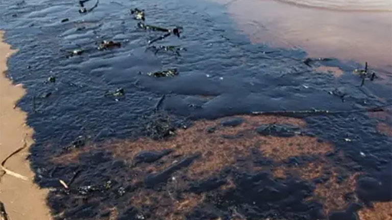 «Промкомплекс» выплатит за ущерб почвам свыше четырех млн рублей
