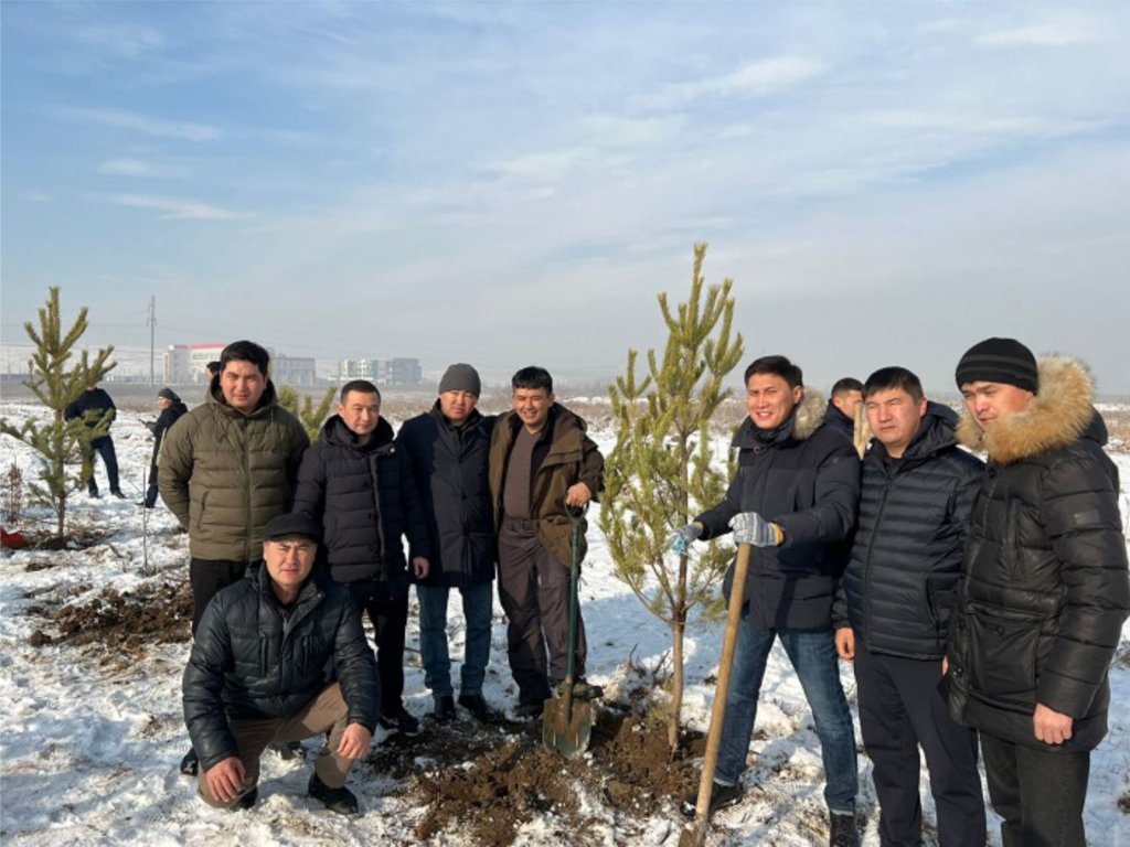 Жители Алматы начали год с высадки сосен