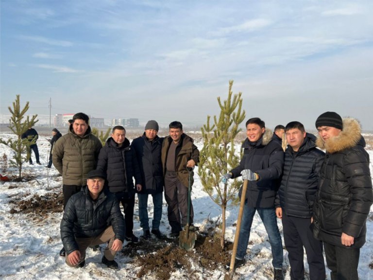 Жители Алматы начали год с высадки сосен
