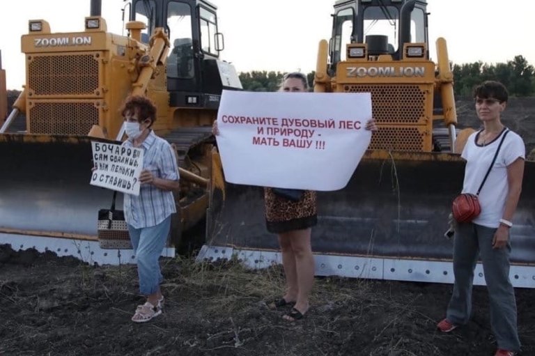 Экоорганизации просят Генпрокурора защитить Волго-Ахтубинскую пойму