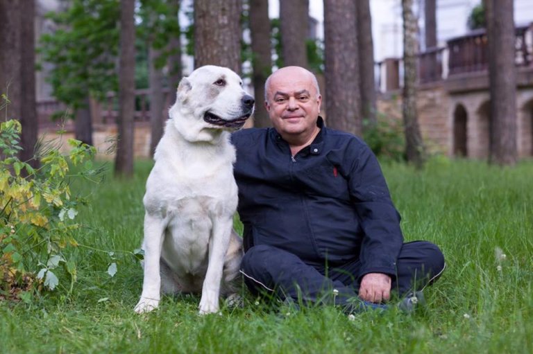Владимир Голубев: «Внести свой вклад в сохранение экологии могут и ответственные собаководы»