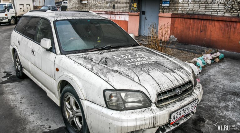 Активисты Владивостока устроили экологический стрит-арт