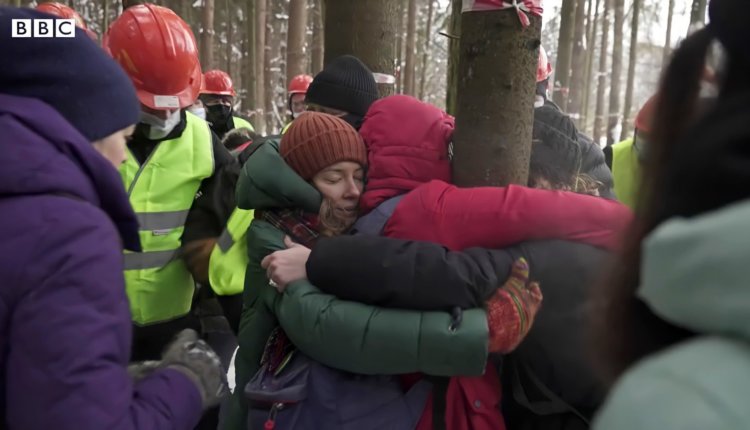 Троицк, лес