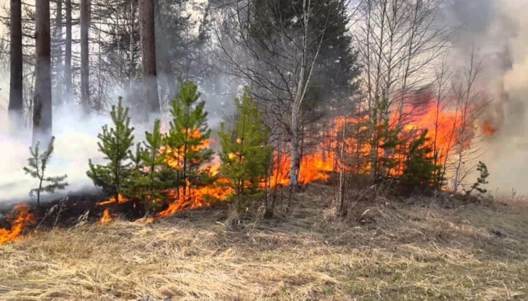 В Татарстане закупят около 160 единиц техники для борьбы с пожарами