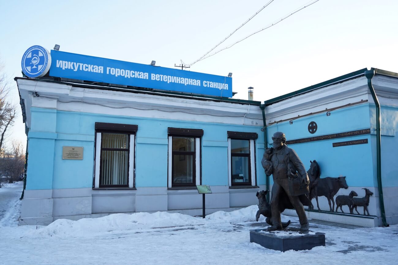 ангарская сббж. с служба ветеринарии иркутской области. логотип службы ветеринарии иркутской области. служба ветеринарии иркутской области. коллегия и научно консультативная совет прокуратура.