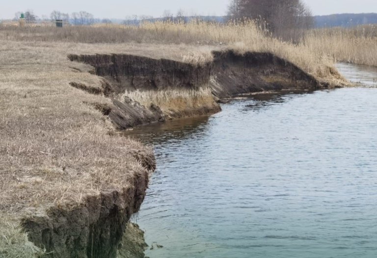 Реки в Воронежской области расчистили с нарушениями