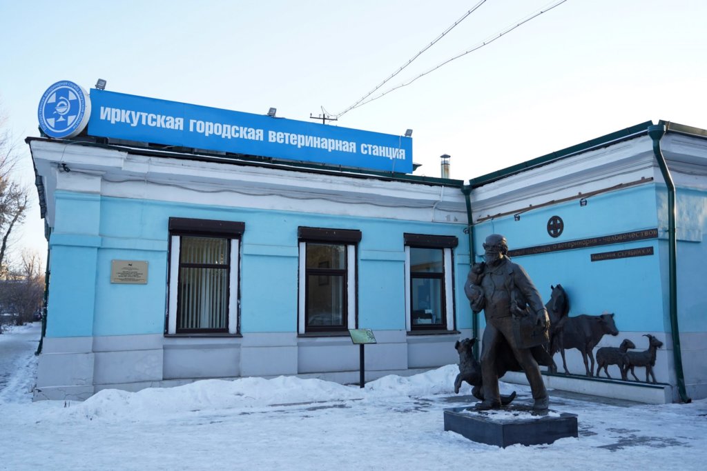 В Иркутской области появятся приюты для бездомных животных