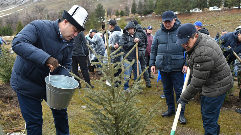 В Кыргызстане сегодня стартовала национальная кампания «Зеленое наследие»