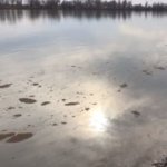 Казахстанцы планируют обезопасить Иртыш от ртутного загрязнения