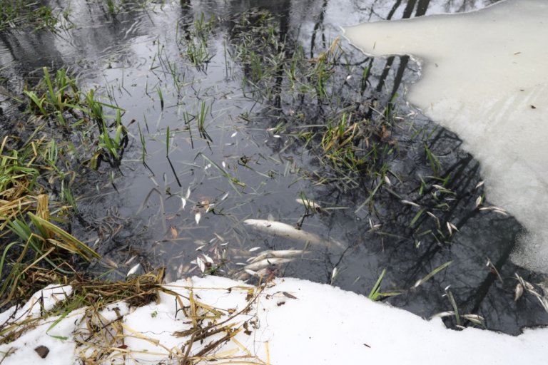 «Усманский водоканал» уплатит более 43 миллионов рублей за вред реке Усмань