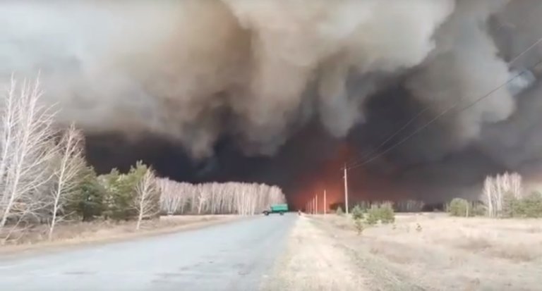 Пожар на свалке в Омской области уничтожил детский лагерь и более 95 га леса