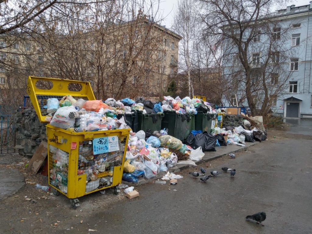 «Экология-Новосибирск» обвинила бастующих водителей в саботаже
