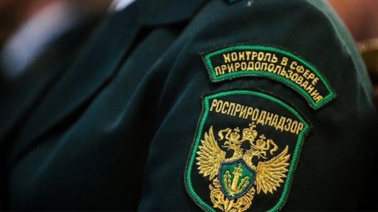 Росприроднадзор запустит проверки с технологией дополненной реальности