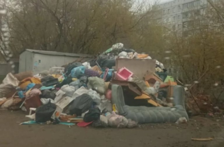 Новосибирск продолжает утопать в мусоре