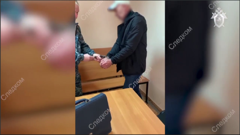 Хозяина собак, загрызших 12-летнюю шахматистку, арестовали