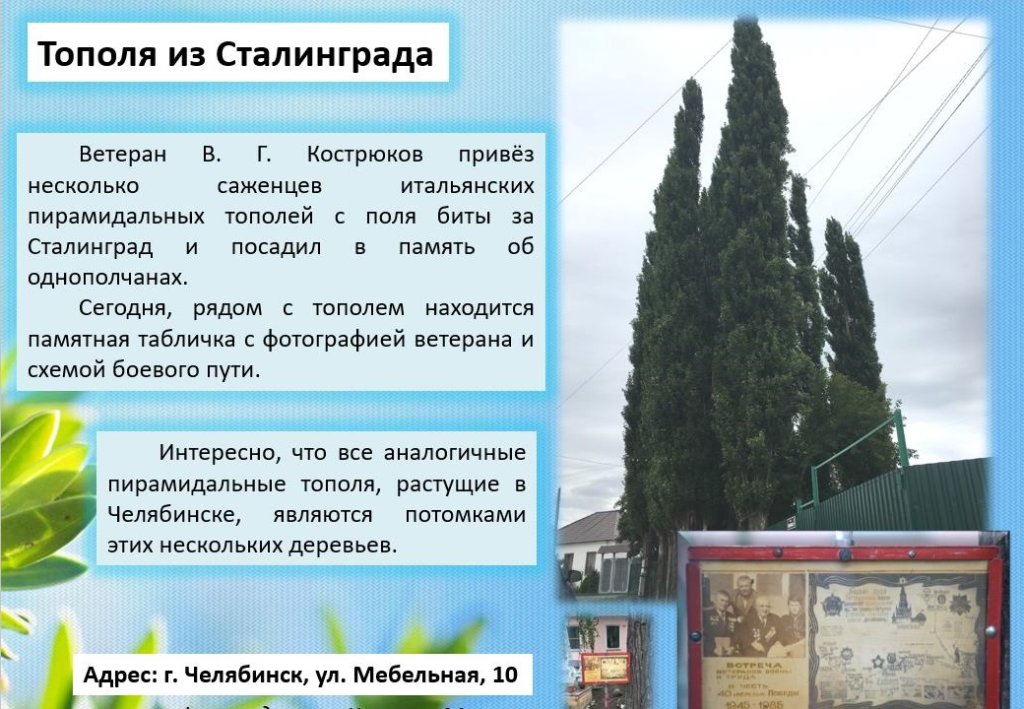Цифровой проект эконавигатора Челябинска получил поддержку