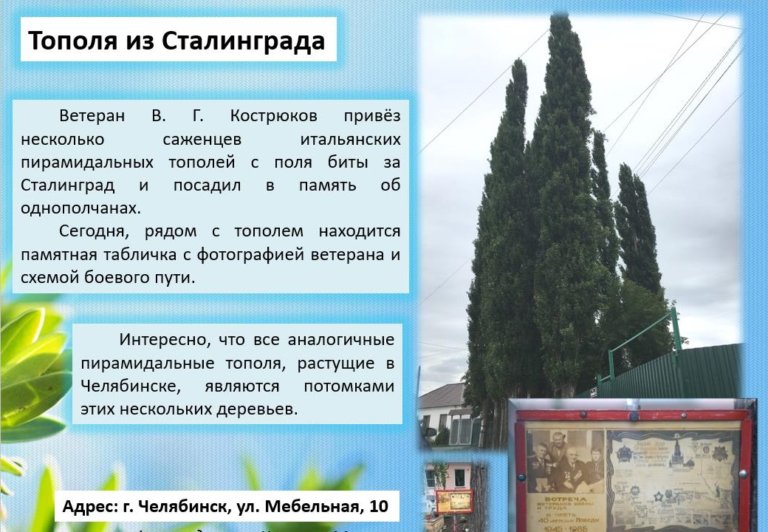 Цифровой проект эконавигатора Челябинска получил поддержку