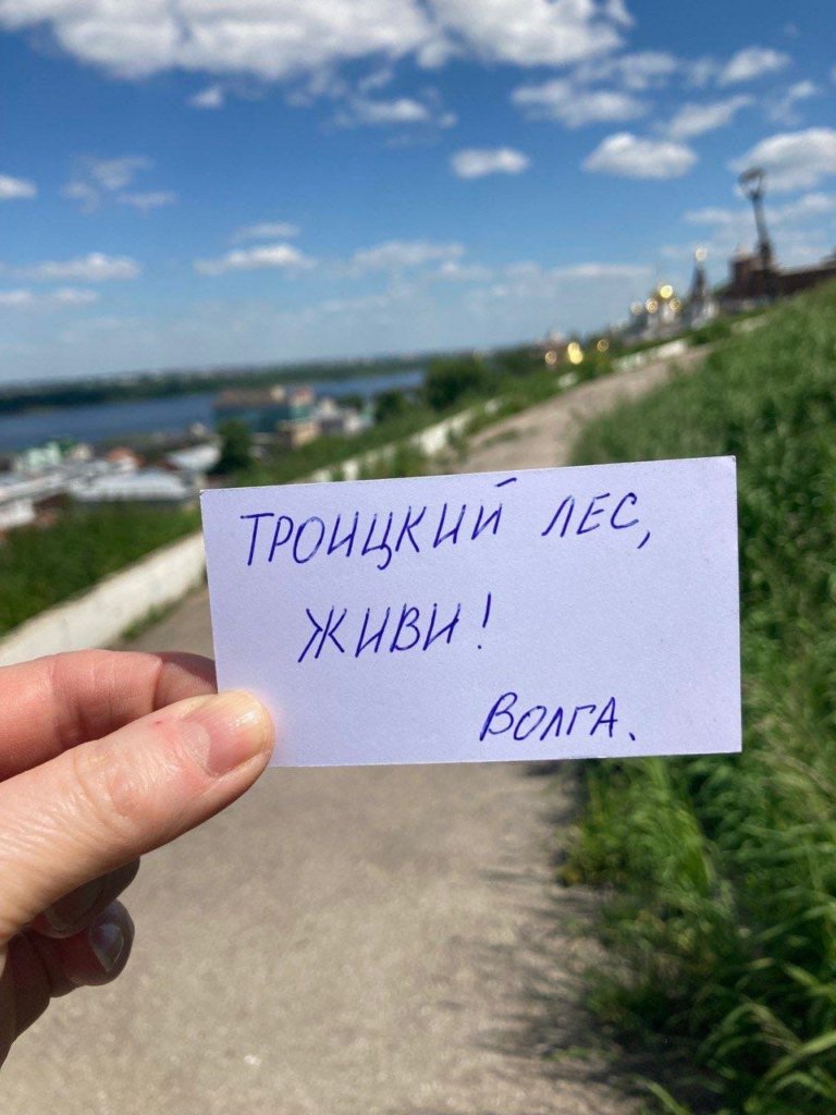 Сохранение Троицкого леса поддерживают не только в российских городах, но и в других странах
