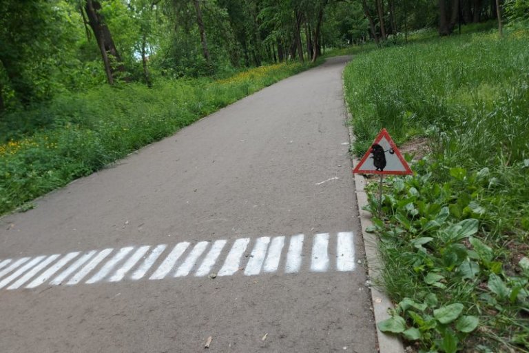 В подмосковном парке появился пешеходный переход для ёжиков