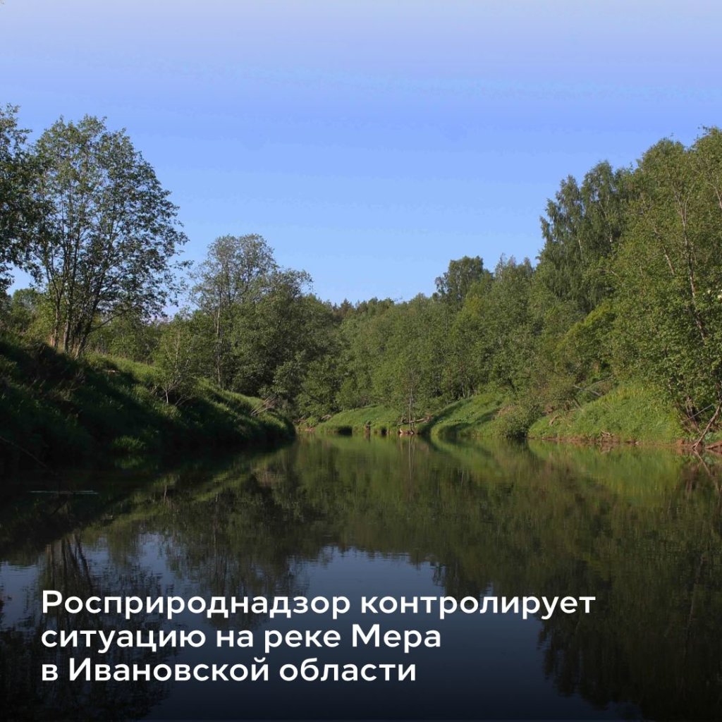 На реке в Ивановской области обнаружено загрязнение нефтепродуктами