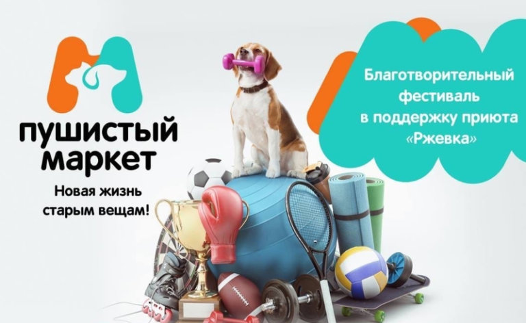 В Питере пройдёт фестиваль в пользу животных из приюта