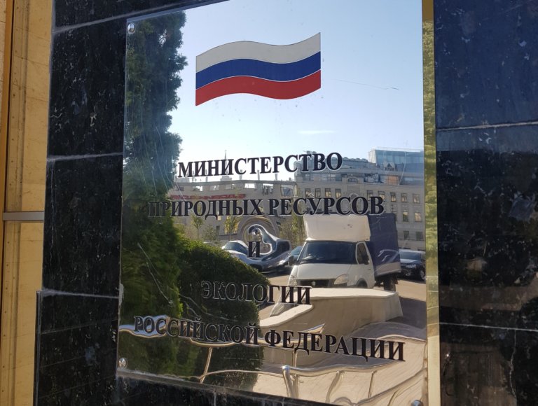 Минприроды России разработало проект требований к содержанию животных в зоомагазинах