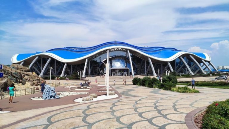 В работе Приморского океанариума выявлены многочисленные нарушения