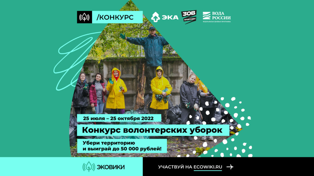 За организацию субботников можно получить денежную награду