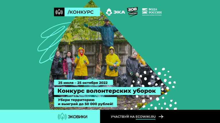 За организацию субботников можно получить денежную награду