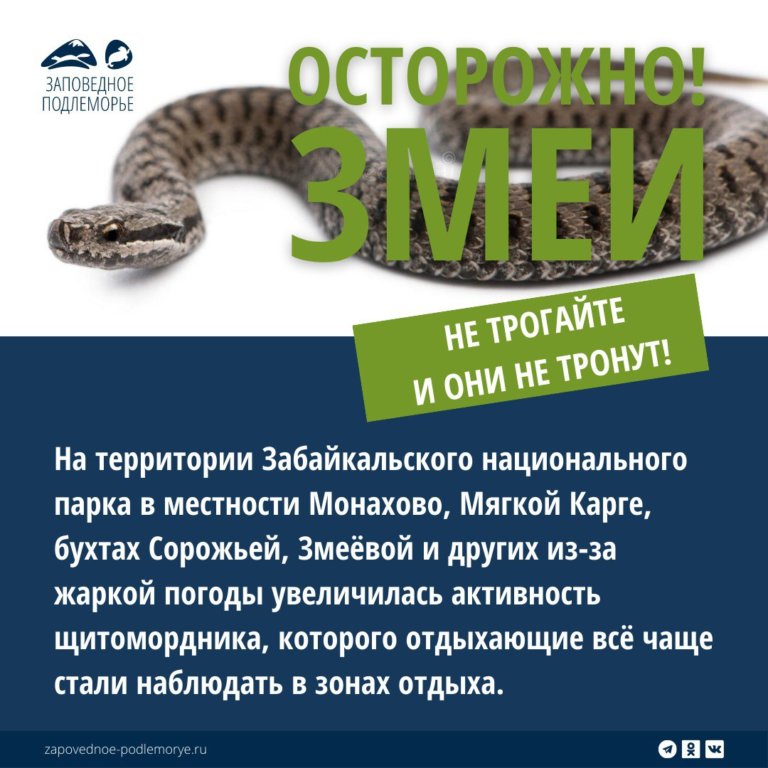 «Не трогайте и они не тронут»