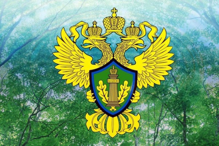Самозахваченный участок берега реки Вергуза вернут государству