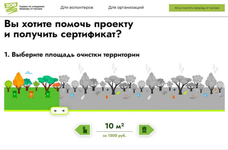 «С миру по нитке» — будет чистота